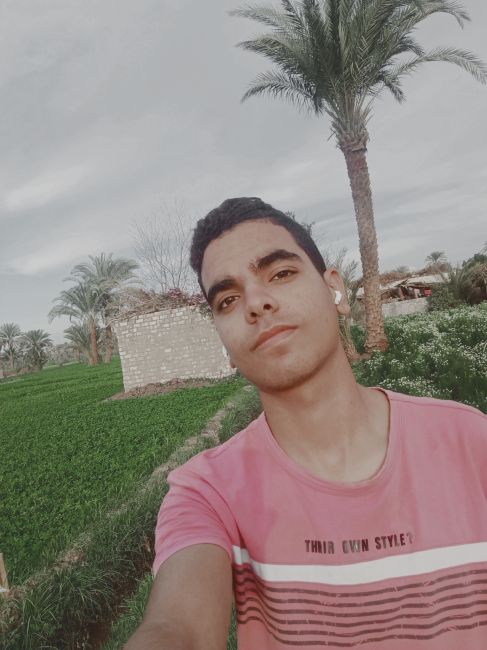 الصورة الشخصية للمستخدم محمد
