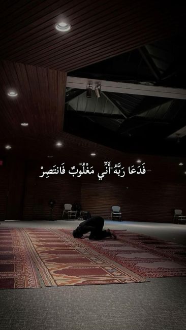 الصورة الشخصية للمستخدم صقر