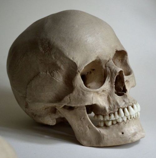 الصورة الشخصية للمستخدم Aumnia40
